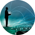 Info Security And Risk Icon
